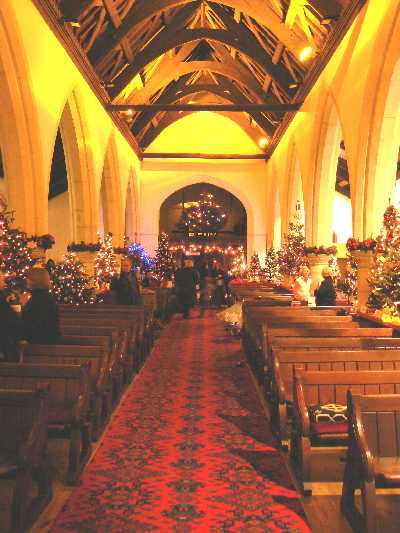 treefest_2007