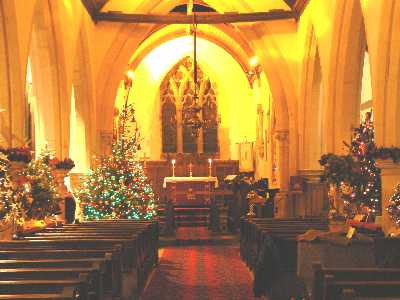 treefest_2007